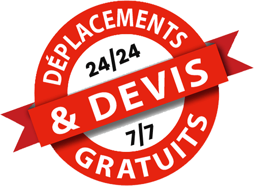 Devis deplacement gratuit 1